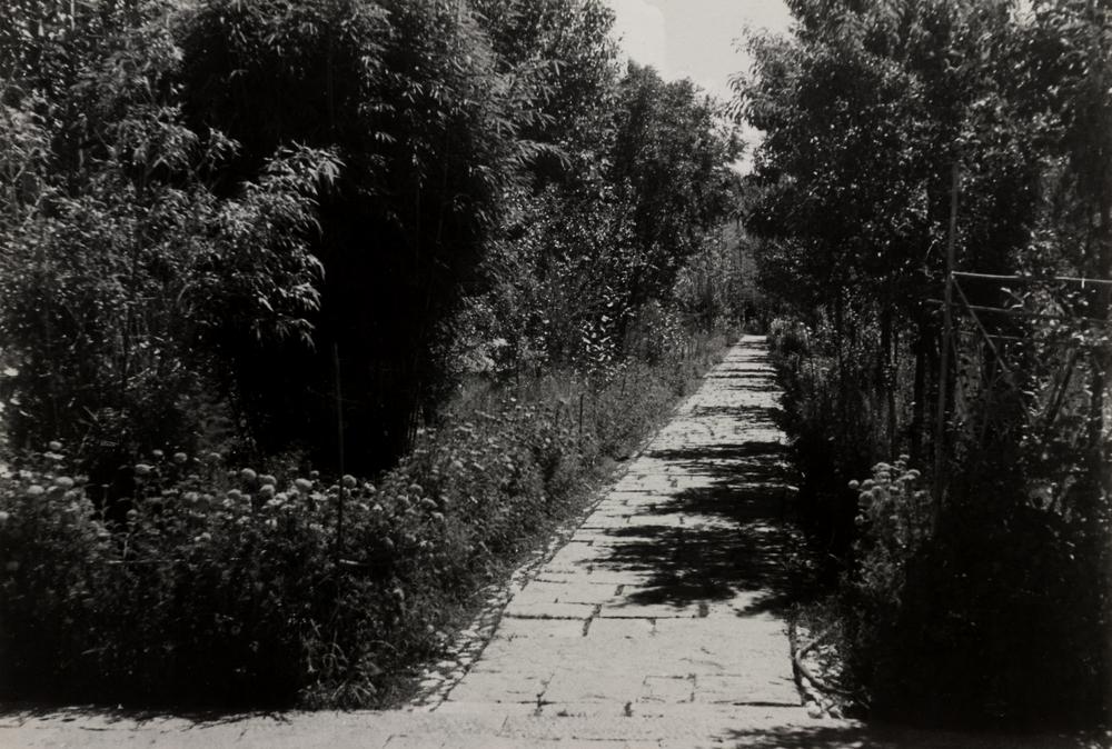 图片[1]-photographic print(black and white); album BM-1986-0313-0.1.44-China Archive